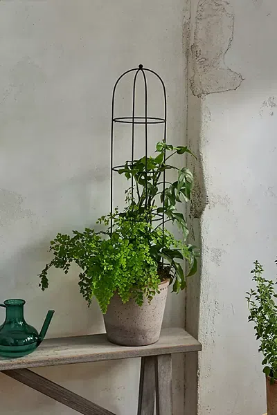 Terrain Obelisk Topiary Frame In Black