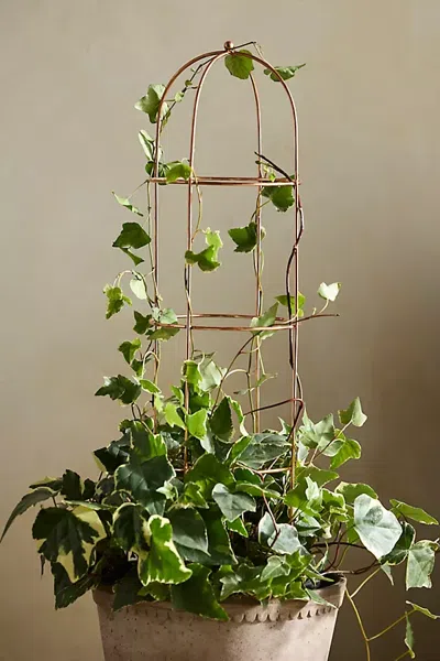 Terrain Obelisk Topiary Frame In Brown