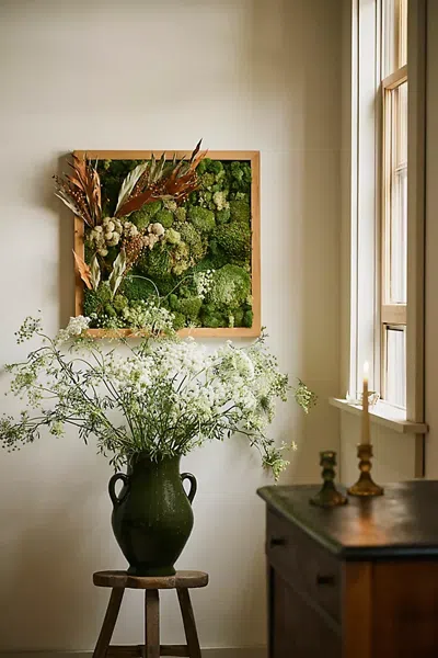 Terrain Old Growth Preserved Moss Frame In Multicolor