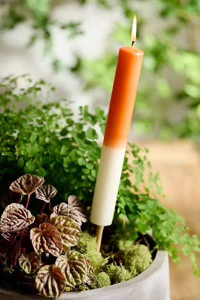 Terrain Ombre Citronella Torch Candle In Multi