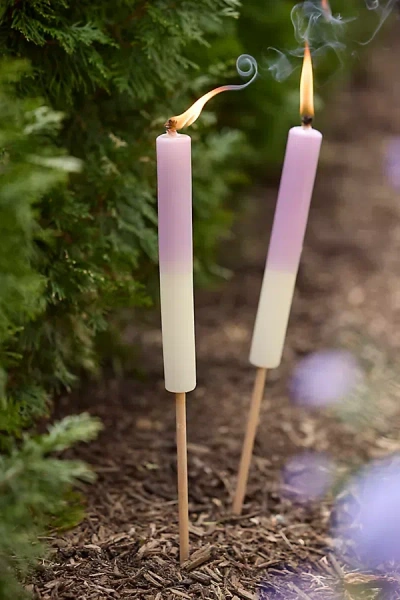 Terrain Ombre Citronella Torch Candle, Purple
