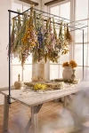 Terrain Over-the-table Trellis