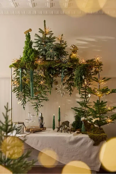 Terrain Over-the-table Trellis