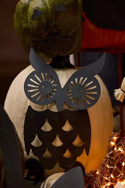 Terrain Owl Pumpkin Stake Set