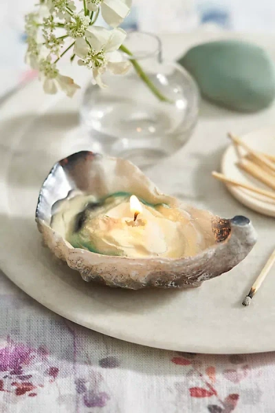 Terrain Oyster Candle In Multi