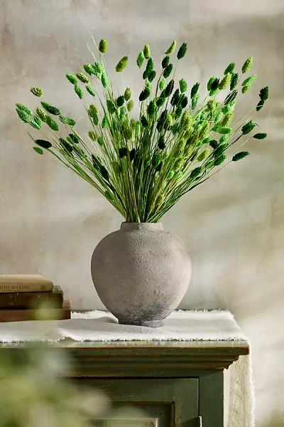 Terrain Painted Phalaris Bunch