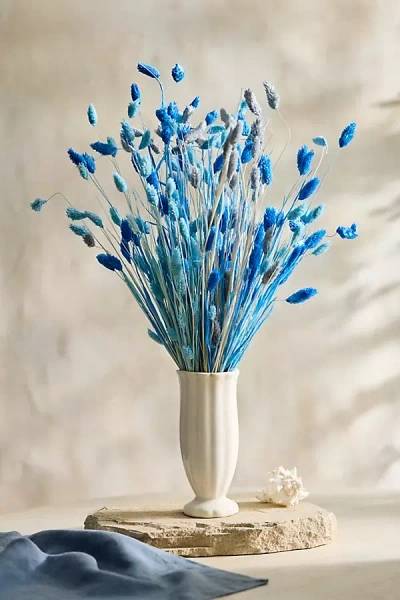 Terrain Painted Phalaris Bunch