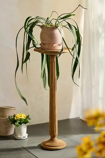 Terrain Palladio Reclaimed Teak Plant Stand
