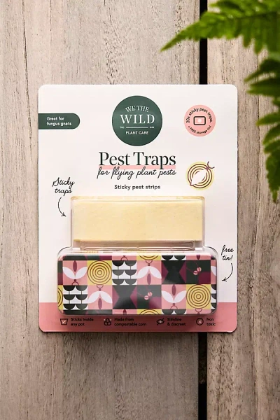 Terrain Pest Trap Sticky Planter Strips