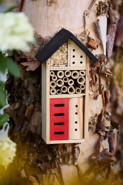 Terrain Pinewood Insect House In Multi