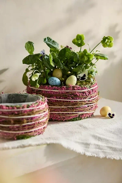 Terrain Pink Woven Basket Planter