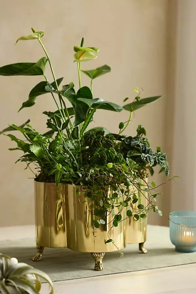 Terrain Polished Brass Quatrefoil Planter