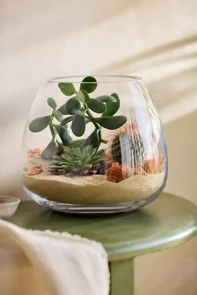 Terrain Polished Drop Terrarium, Small In Transparent