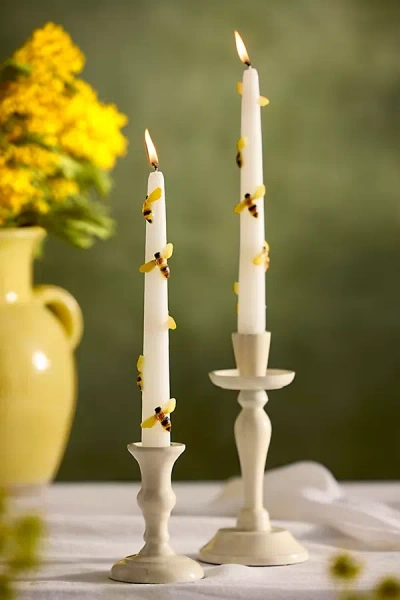 Terrain Pollinator Taper Candles, Set Of 2