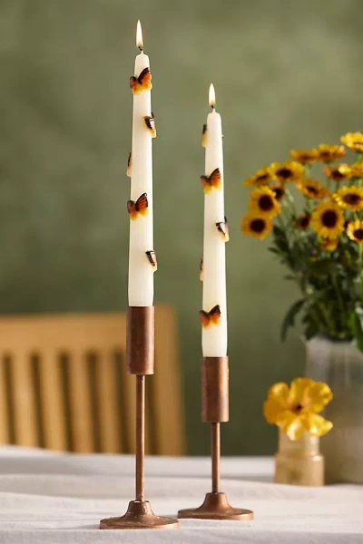Terrain Pollinator Taper Candles, Set Of 2