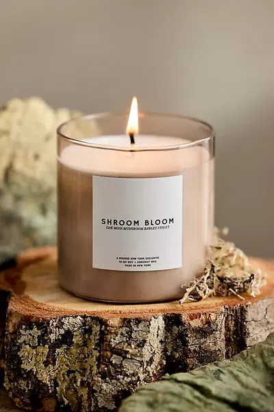 Terrain Poured New York Candle In Multi