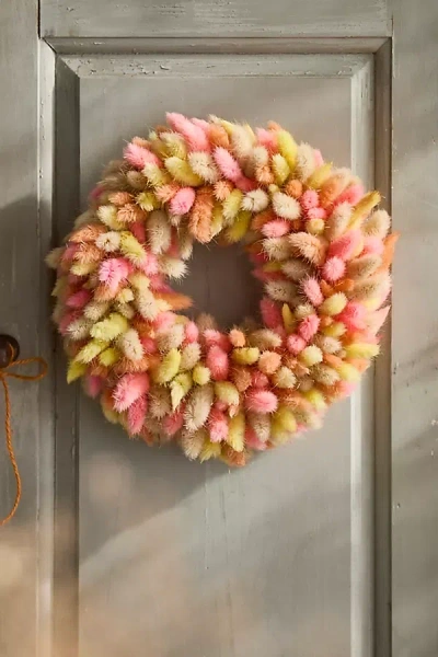 Terrain Preserved Bunny Tails Wreath, Pink Lemonade