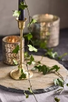 Terrain Preserved English Ivy Bunch