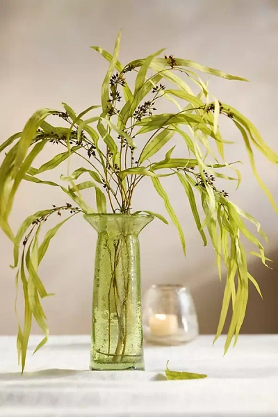 Terrain Preserved Eucalyptus Exotica Bunch In Green