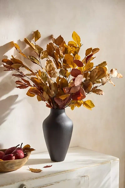Terrain Preserved Fagus Bunch In Black