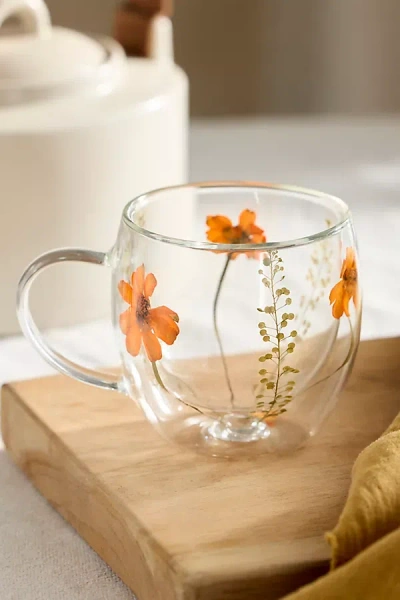 Terrain Preserved Floral Glass Mug In Transparent