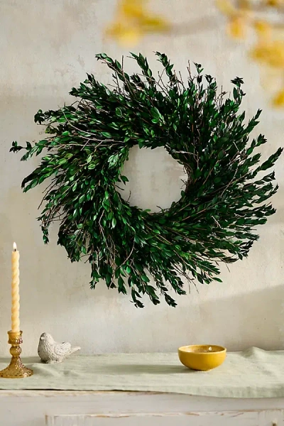 Terrain Preserved Green Myrtle + Curly Willow Wreath