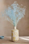 Terrain Preserved Gypsophila Bunch