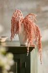 Terrain Preserved Hanging Amaranth Bunch In Multi