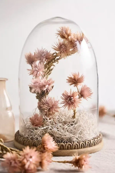 Terrain Preserved Helichrysum Bunch