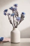 Terrain Preserved Helichrysum Bunch