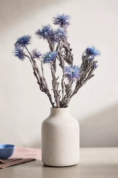 Terrain Preserved Helichrysum Bunch In Blue