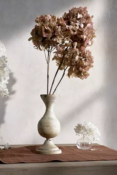 Terrain Preserved Hydrangea Grandiflora Bunch In Multi