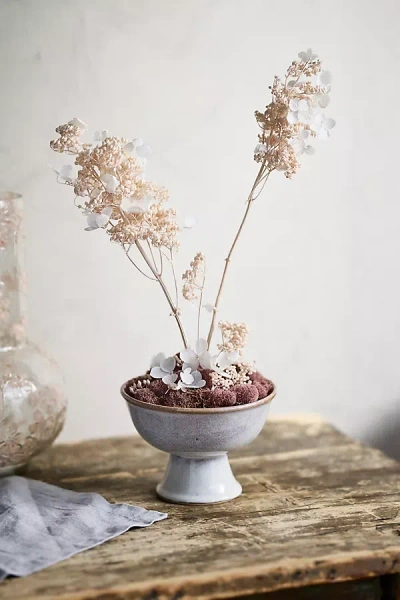 Terrain Preserved Hydrangea Paniculata Bunch In White