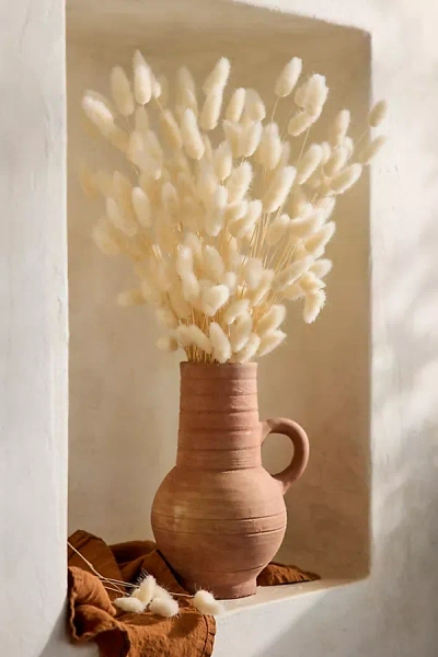 Terrain Preserved Ivory Bunny Tails Bunch