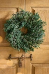 Terrain Preserved Juniper Wreath