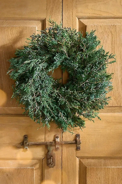Terrain Preserved Juniper Wreath In Green