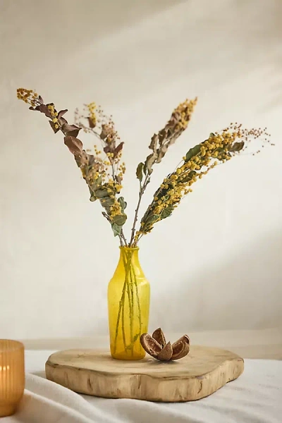 Terrain Preserved Mimosa Bunch