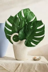 Terrain Preserved Monstera Leaves, Set Of 2 Small