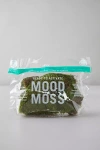 Terrain Preserved Mood Moss