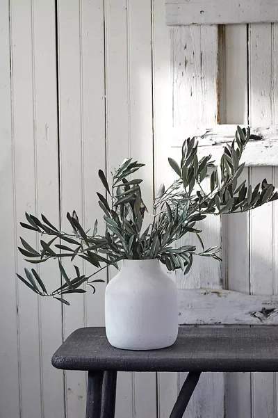 Terrain Preserved Olive Branch Bunch In White