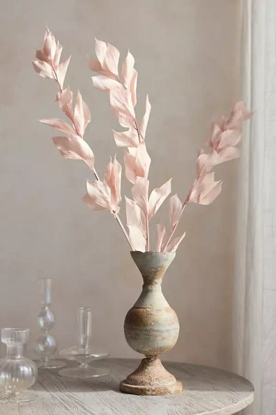 Terrain Preserved Pastel Ruscus Bunch