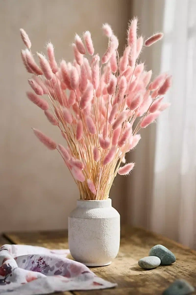 Terrain Preserved Pink Bunny Tails Bunch