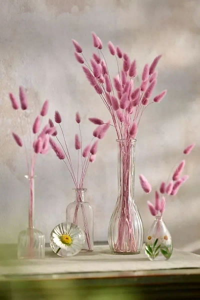 Terrain Preserved Pink Bunny Tails Bunch