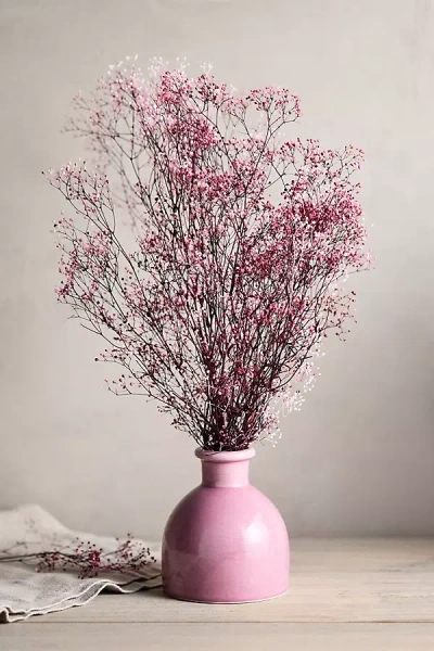 Terrain Preserved Pink Gypsophila Bunch