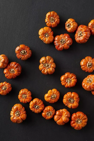 Terrain Preserved Pumpino Toppers In Orange