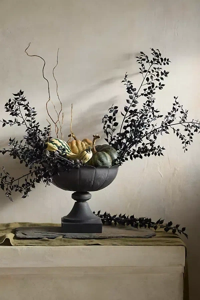 Terrain Preserved Ruscus Bunch