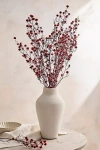 Terrain Preserved Stirlingia Bunch In White