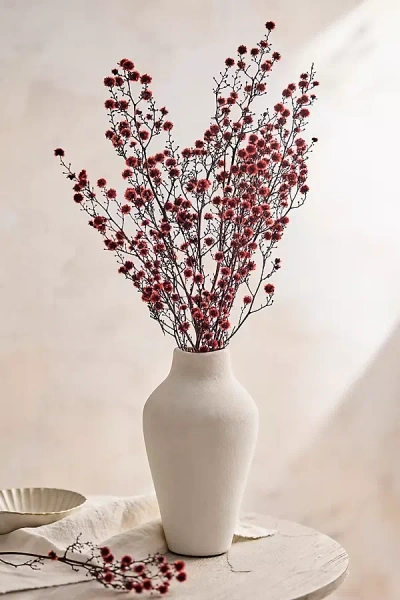 Terrain Preserved Stirlingia Bunch In White