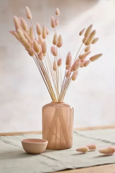 Terrain Preserved Two Tone Bunny Tails Bunch In Neutral