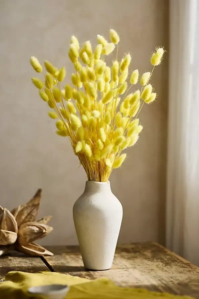 Terrain Preserved Yellow Bunny Tails Bunch
